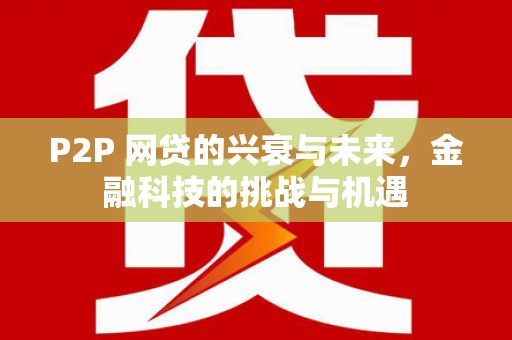 武川P2P 网贷的兴衰与未来，金融科技的挑战与机遇