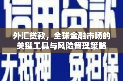 武川外汇贷款，全球金融市场的关键工具与风险管理策略