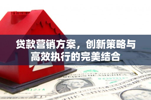 武川贷款营销方案，创新策略与高效执行的完美结合