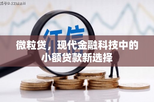 武川微粒贷，现代金融科技中的小额贷款新选择
