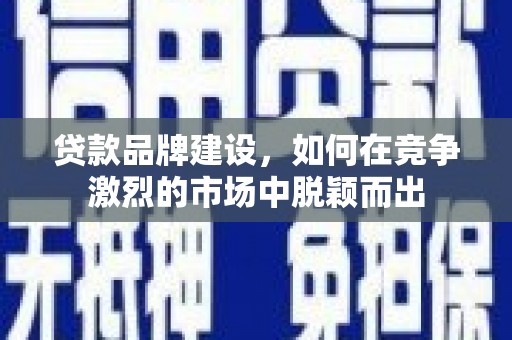 武川贷款品牌建设，如何在竞争激烈的市场中脱颖而出
