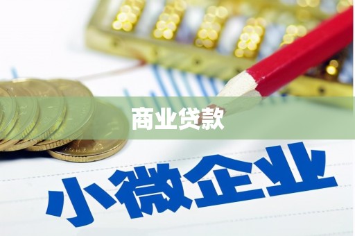 武川商业贷款