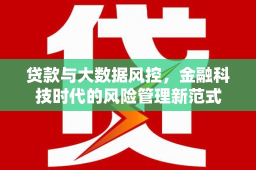 武川贷款与大数据风控，金融科技时代的风险管理新范式