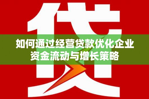 武川如何通过经营贷款优化企业资金流动与增长策略