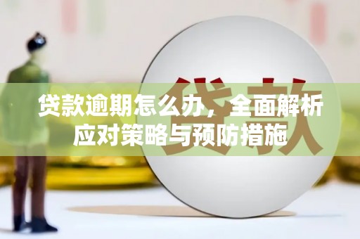 武川贷款逾期怎么办，全面解析应对策略与预防措施
