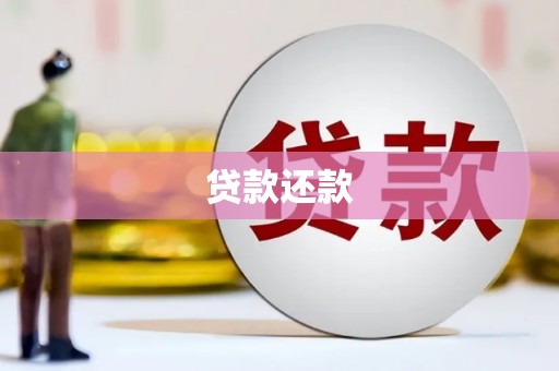 武川贷款还款