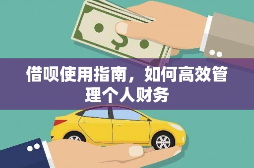 武川借呗使用指南，如何高效管理个人财务