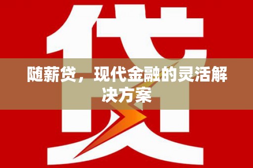武川随薪贷，现代金融的灵活解决方案