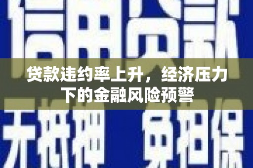 武川贷款违约率上升，经济压力下的金融风险预警