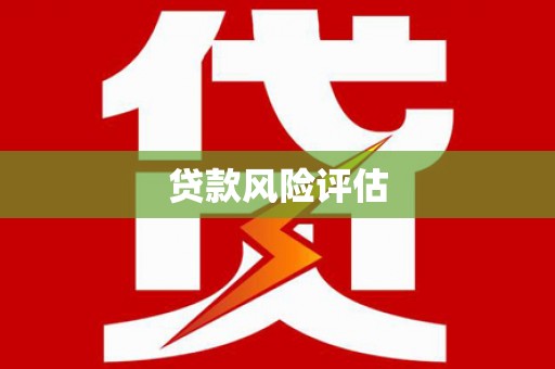 武川贷款风险评估