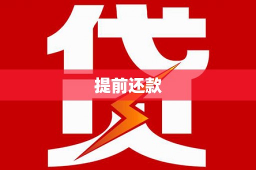 武川提前还款