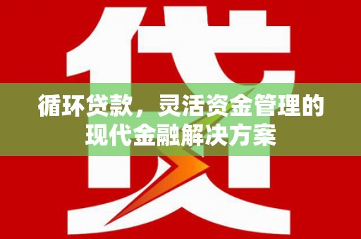 武川循环贷款，灵活资金管理的现代金融解决方案