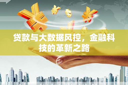 武川贷款与大数据风控，金融科技的革新之路