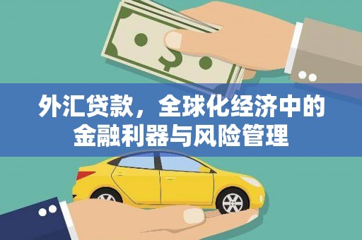 武川外汇贷款，全球化经济中的金融利器与风险管理