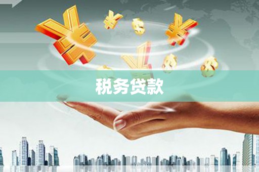 武川税务贷款