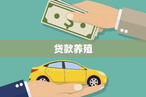 武川贷款养殖