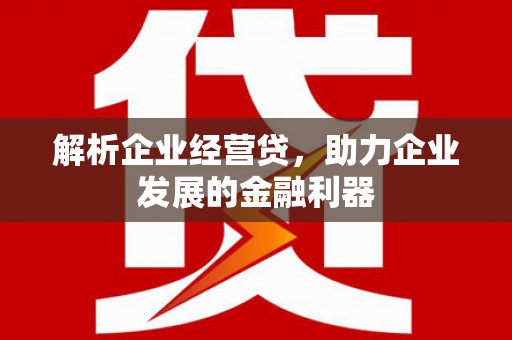 武川解析企业经营贷，助力企业发展的金融利器