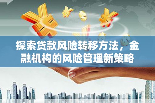 武川探索贷款风险转移方法，金融机构的风险管理新策略