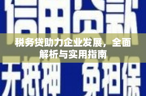 武川税务贷助力企业发展，全面解析与实用指南