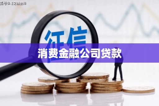 武川消费金融公司贷款