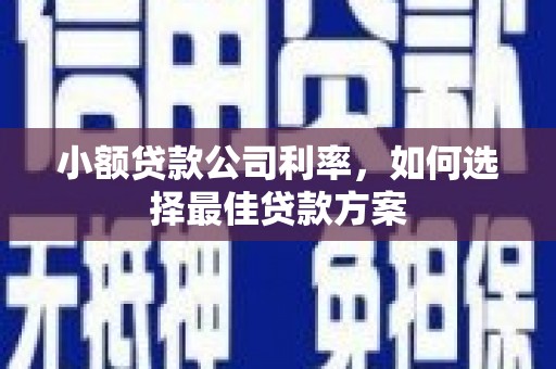 武川小额贷款公司利率，如何选择最佳贷款方案