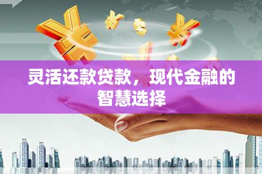 武川灵活还款贷款，现代金融的智慧选择
