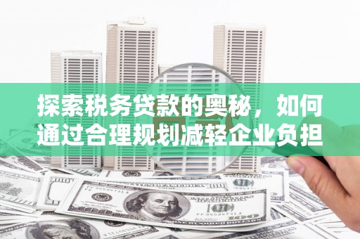 武川探索税务贷款的奥秘，如何通过合理规划减轻企业负担