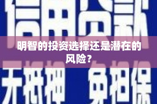 武川明智的投资选择还是潜在的风险？