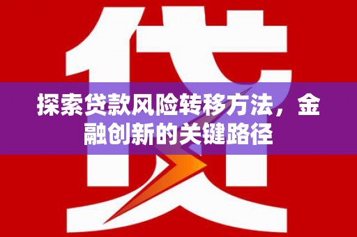 武川探索贷款风险转移方法，金融创新的关键路径