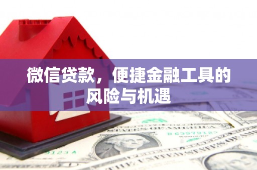 武川微信贷款，便捷金融工具的风险与机遇