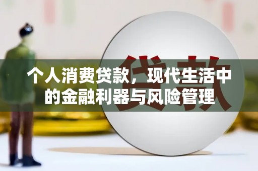 武川个人消费贷款，现代生活中的金融利器与风险管理