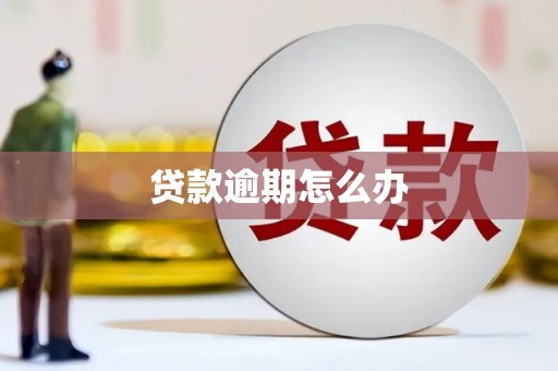 武川贷款逾期怎么办