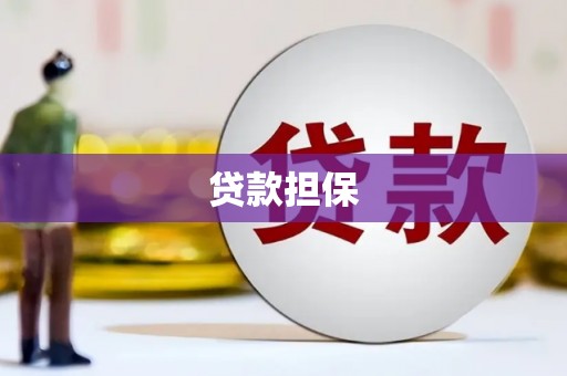 武川贷款担保