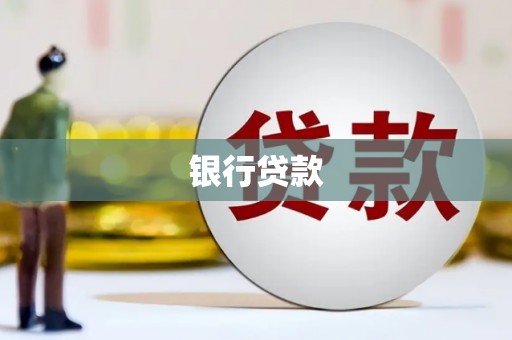 武川银行贷款