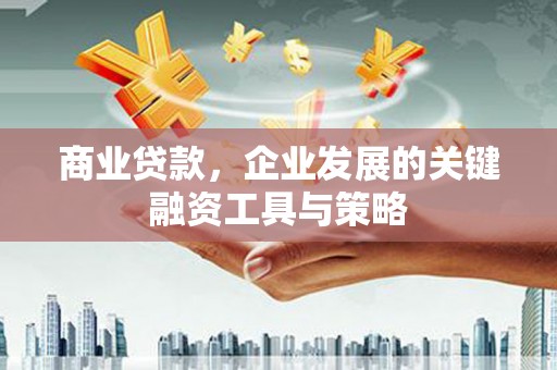 武川商业贷款，企业发展的关键融资工具与策略