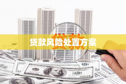 武川贷款风险处置方案