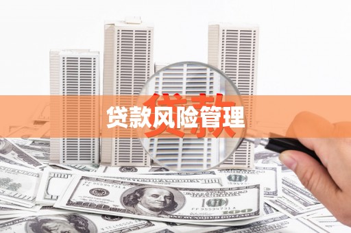 武川贷款风险管理