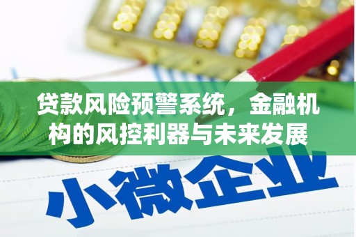 武川贷款风险预警系统，金融机构的风控利器与未来发展
