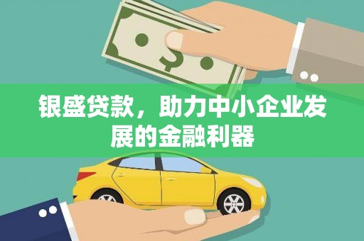 武川银盛贷款，助力中小企业发展的金融利器