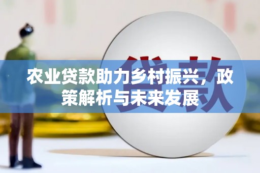 武川农业贷款助力乡村振兴，政策解析与未来发展