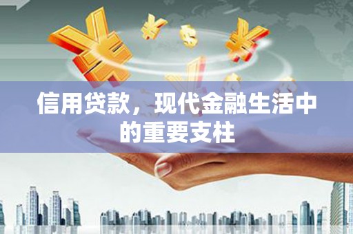 武川信用贷款，现代金融生活中的重要支柱