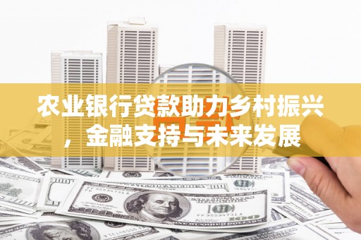 武川农业银行贷款助力乡村振兴，金融支持与未来发展