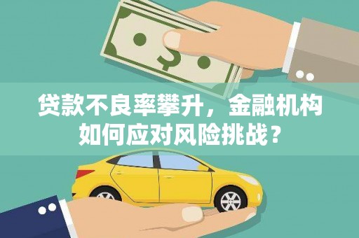 武川贷款不良率攀升，金融机构如何应对风险挑战？
