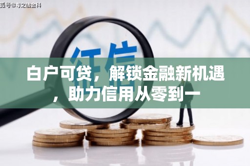 武川白户可贷，解锁金融新机遇，助力信用从零到一
