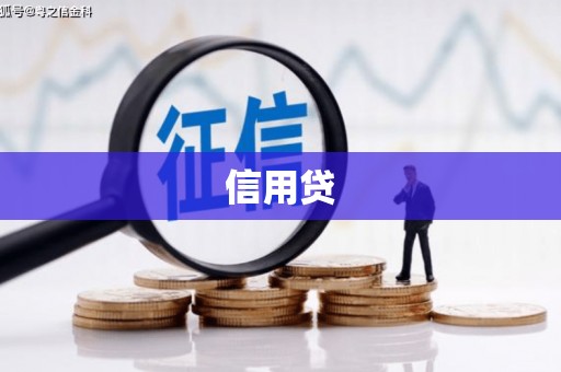 武川信用贷