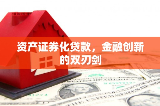 武川资产证券化贷款，金融创新的双刃剑