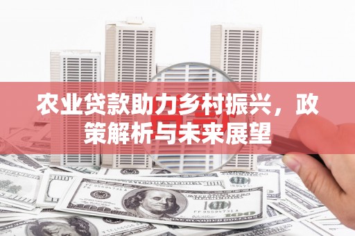武川农业贷款助力乡村振兴，政策解析与未来展望