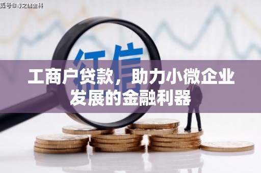 武川工商户贷款，助力小微企业发展的金融利器