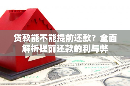 武川贷款能不能提前还款？全面解析提前还款的利与弊