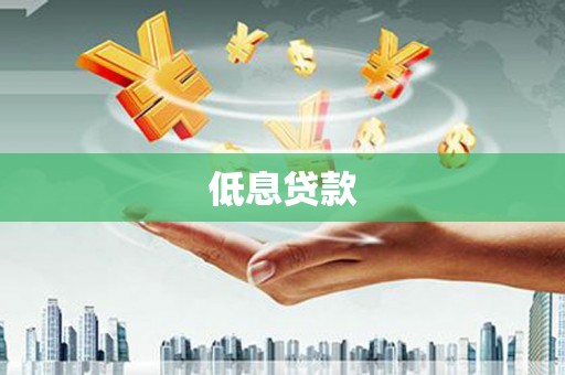 武川低息贷款